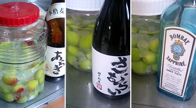梅酒をつけた